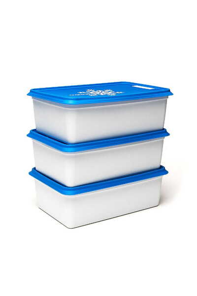 Amuse Set 3 recipiente congelator, Amuse, Plastic, 3 x 2 L , Alb/ Albastru