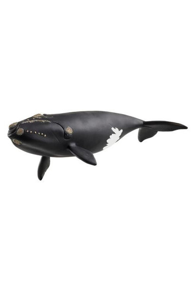 OEM Figurina Schleich, Balena din Atlanticul de nord