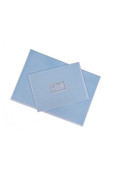 MC Micostore Hartie milimetrica A3 ROM, albastru, set 100 coli