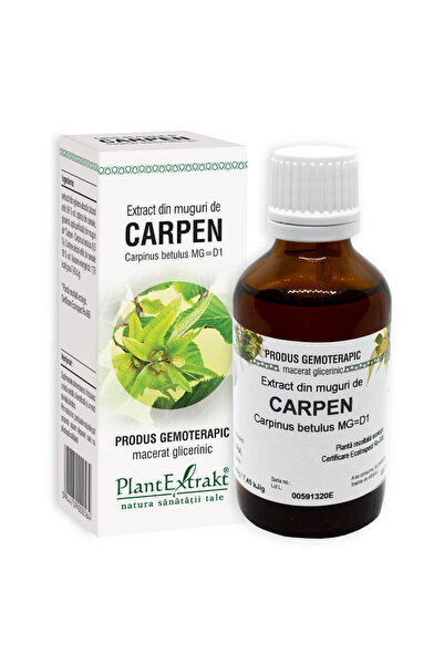 Plantextrakt Extract din Muguri de Carpen 50ml
