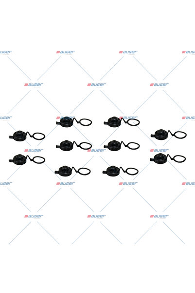Auger Kit Reparatie Etrier 2000-2026