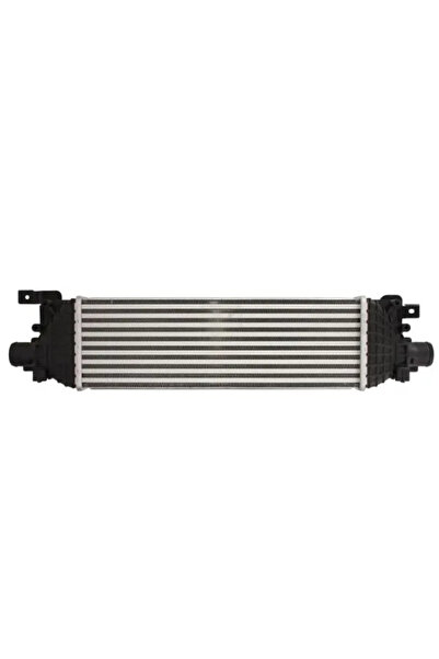 Thermotec Intercooler Turbo FORD FIESTA 5/FUSION MAZDA 2