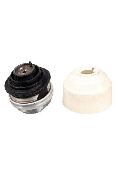 FEBI BILSTEIN Suport Motor Fata Dreapta/Stanga Hidraulic Mercedes S (w221 V22...