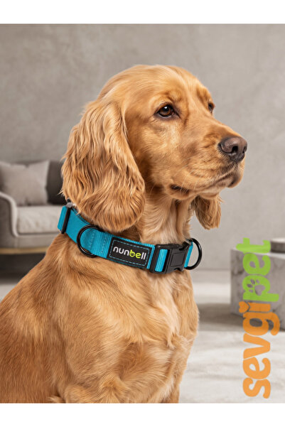 sevgipet Ayarlanabilir Martingale Eğitim Köpek Boyun Tasması Mavi