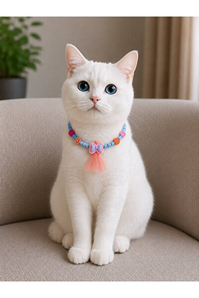 Pawellia.co Stylish Design Cat Collar Cat Necklace Small Breed Dog Collar Dog...