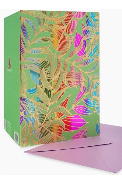 OEM Cutie pentru cadou, Cu plic, Multicolor