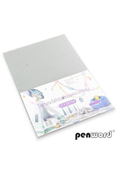 PENWORD Carton ondulat A4 set 5 coli argintiu mat 22.2x31.3cm multicolor