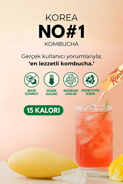 TEAZEN Probiyotik Ve Lif İçeren Bağırsak Sağlığı Destekli Şekersiz İçecek Kombucha Mango Guava