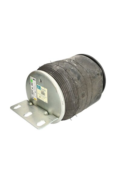 DT Spare Parts Perna de Aer Spate Daf
