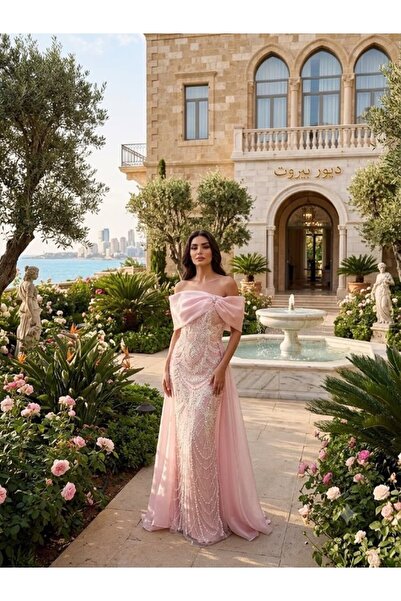 ranin Light Pink Evening Gown Off-Shoulder Lace Applique Dress with Soft Embr...