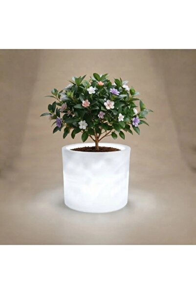 MYASEM STORE Lora Led Grow Light Indoor and Outdoor Planter Box 77*70*53cm