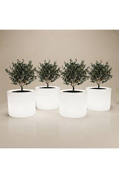 MYASEM STORE Set of 4 Lora Led Grow Light Indoor/Outdoor Plant Growing Boxes ...