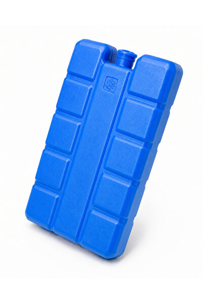 INATECH Set 10 Baterii (Pastile) De Racire HDPE Ice Pack, 160 x 90 x 32 mm, 4...