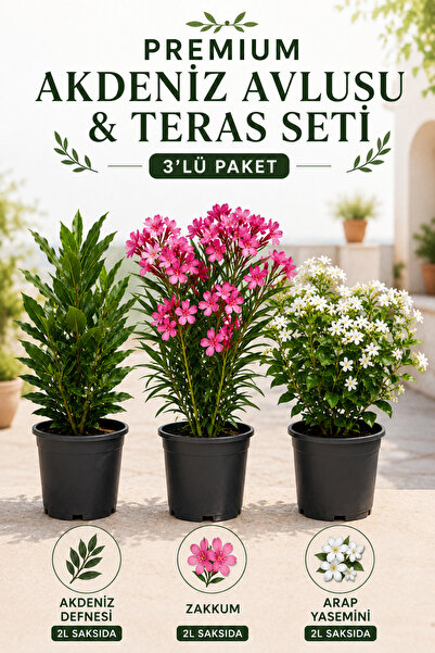 Rosemary Garden 3lü Akdeniz Avlusu Teras Fidan Seti 2L Saksıda Defne Zakkum M...