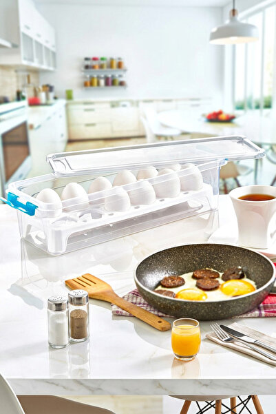 RNL04 Home 12-Piece Transparent Egg Storage Box with Lock and Lid
