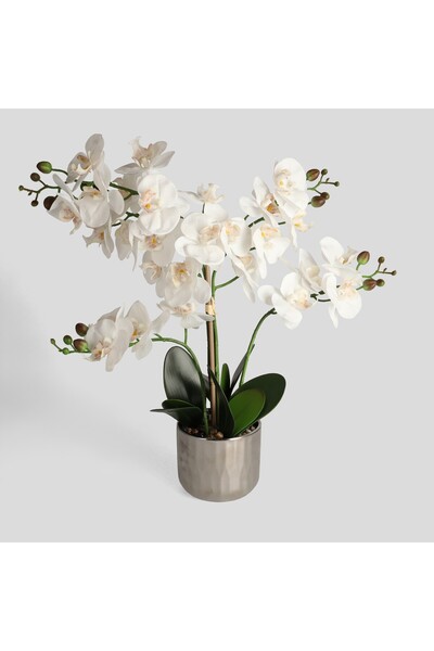 home&you Orchianos Arrangement