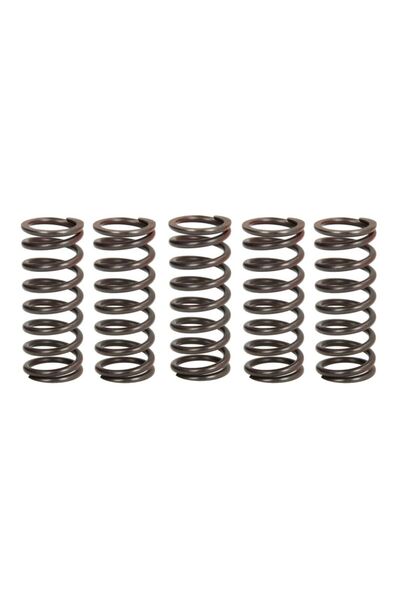 TRW Set Arcuri Ambreiaj Kawasaki Klx Kx 450 2005-2018 KAWASAKI KLX/KX