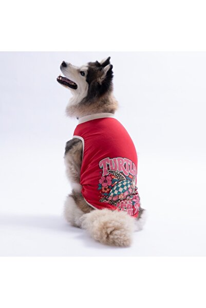 Pawstar Red Turtley over It Large Dog T-Shirt - Dog Apparel (15 Kg-45 kg)