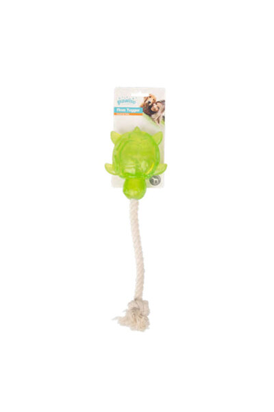 Pawise Ilkestor Happy Life Toy (184006) Stringed Turtle