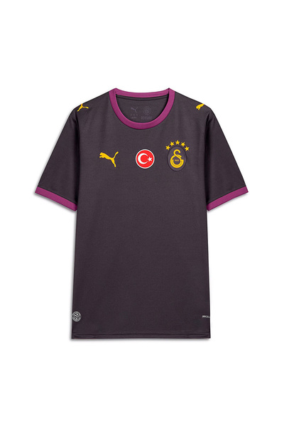 Puma Galatasaray 26/27 Men's Away Gray Jersey