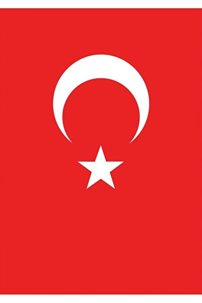 Vatan VT213 ÜLKE BAYRAĞI 30X45