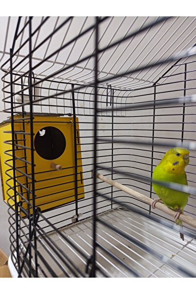 renkmar Yellow White Blue Red Pink Wooden Budgie and Small Cage Birds Nesting Box / Nest Box