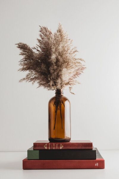wellLine 500 ml Amber Brown Glass Bottle Vase