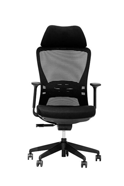 Fatio High Back Mesh Office Chair with Back Support and Fixed Headrest, Breat...