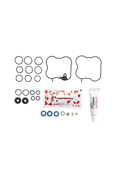 VADEN Kit de Reparare a Valvelor Egr (kitul Contine: Sigilii) Scania