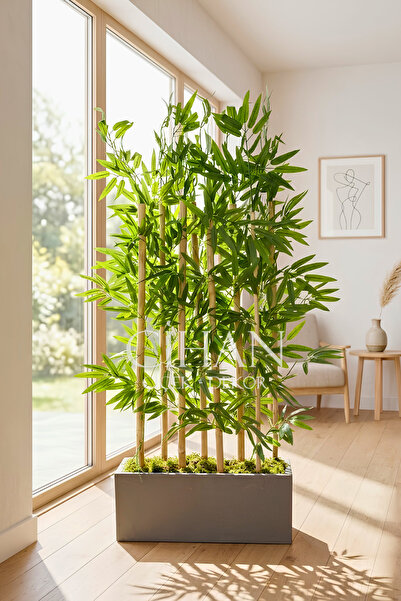 Cihan Çiçekçilik 8 Bambulu Yapay Bambu 120 cm - Antrasit MDF 50 cm Ahşap Saksılı