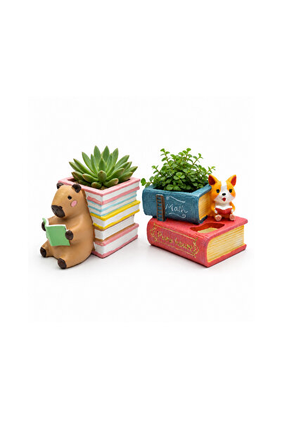 Generic Marketplace Beram Cute Cartoon Succulent Flower Pot Corgi Dog With Bo...