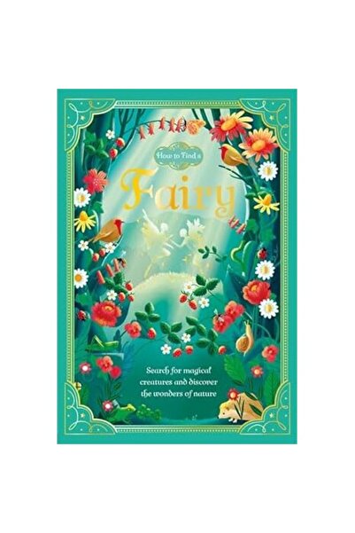 Generic (Unbranded) Fairy (How to Find a...)
