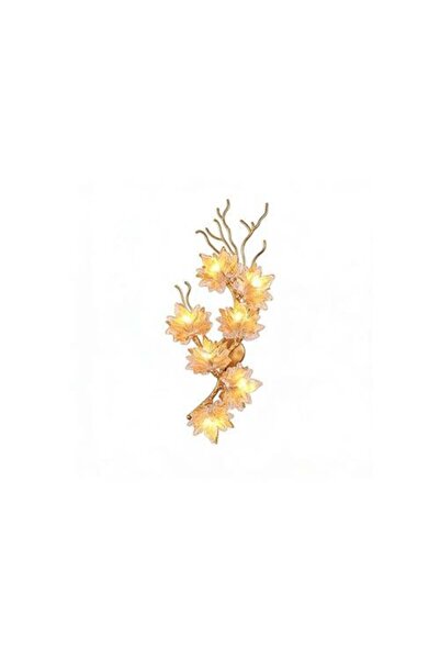 ٍSiera Light Ramas Bronze Transparent Wall Sconce-416