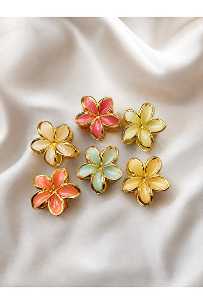 Elmosia Jewelry Set of 6 Colorful Enamel Detailed Women's Hair Clips Premium ...
