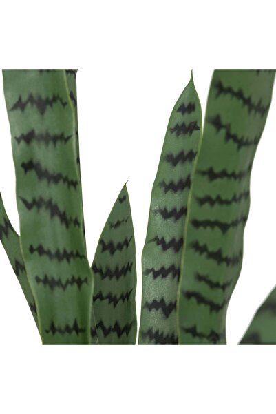 Atmosphera Plantă artificială Sansevieria "Toby" - Ghiveci negru, H.90 cm