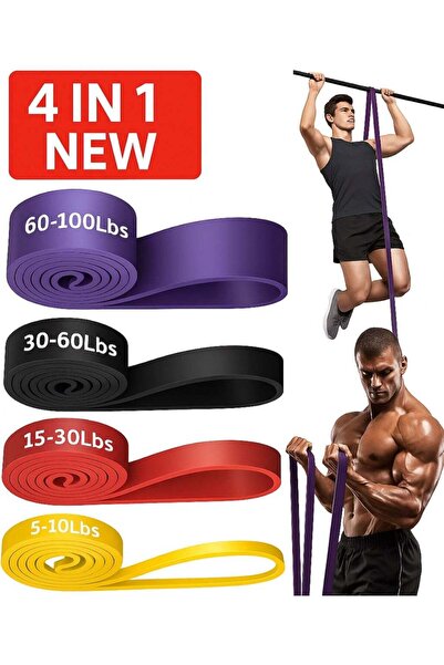 ARSAR PLUS Resistance Band Set 4 in 1 – Pull Up Assistance Bands for Legs, Wo...