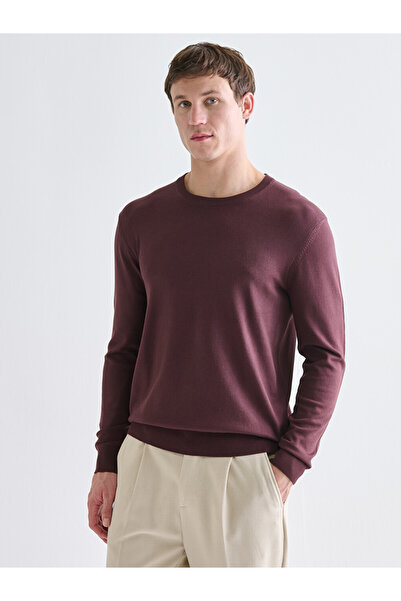 LC Waikiki Crew Neck Long Sleeve Men's Tricot Sweater