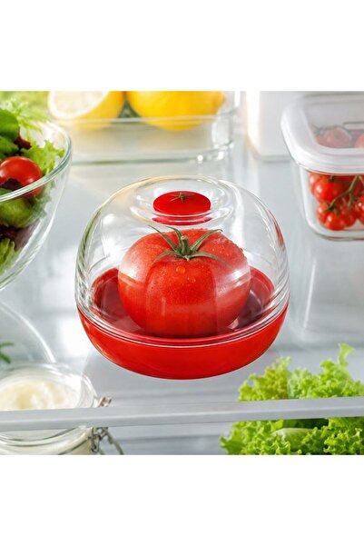 BAMI NETWORK Recipient Depozitare Roșii cu Capac Transparent Premium – Contai...
