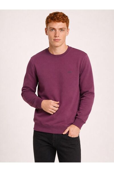 Loft Regular Fit Men's Sweatshirt
