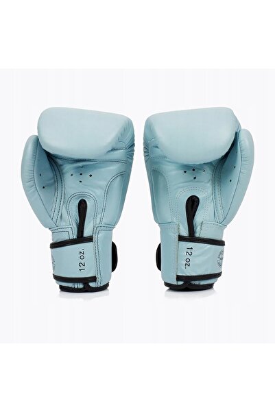 Fairtex Mănuși de box din piele naturală, albastre, 16 oz