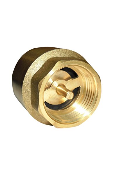 DIAMOND Clapetă de reținere 1 1/2 " direcțională, tijă din alamă, alamă ART.1...