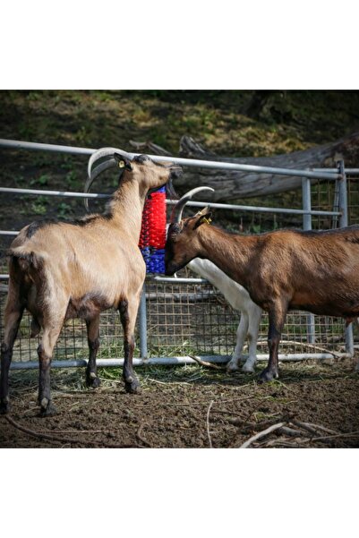 NO BRAND Perie de masaj pentru scărpinat bovine, cai, oi, porci, cu suport de...