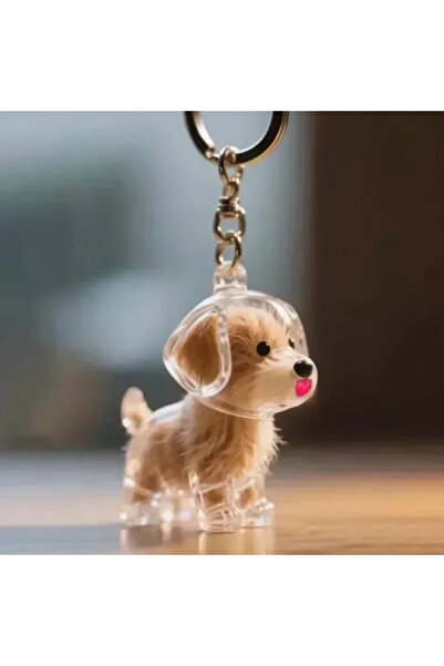 Choice15 Style 03-1pcs 1-4pcs Clear Dog Hair Storage Keychain Cute Pendant Co...