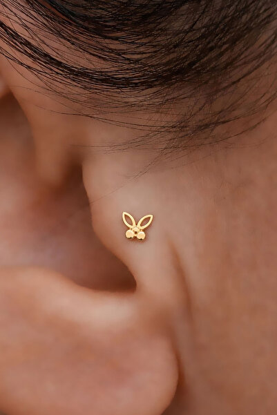 Bayar Gold 14 Ayar Altın Kelebek Flora Tragus Piercing