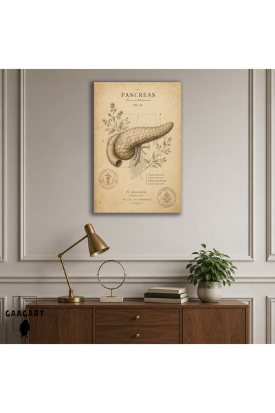 GAAGART Tekli Dikey Kanvas Tablo Vintage Pankreas Anatomisi Botanik Medikal P...