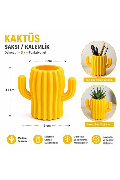 bimbambom Kaktüs Saksı, Sukulent saksı, Plastik Saksı Renkli Saksı, kalemlik,...