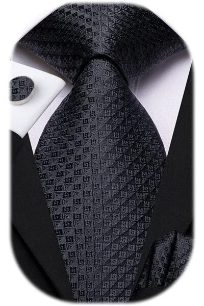 Dubulle Mens Paisely Silk Tie for Men Necktie and Pocket Square Set
