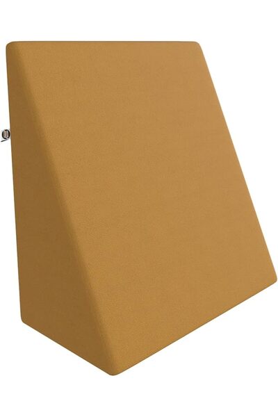 CareFoam Wedge Cushion | 2 Years | Wedge Pillow Memory Foam for Back Support,...