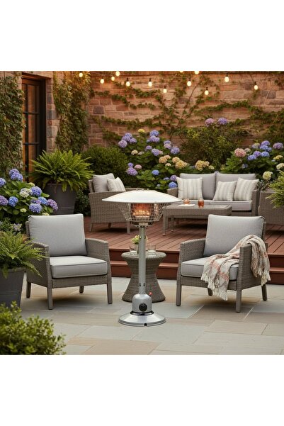 Roots Furniture Portable Patio Heater