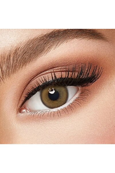 Fresh Lady Bassia Brown Monthly Disposable Contact Lenses, Color Contact Lens...
